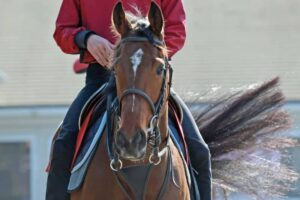 【桜花賞】リバティアイランド　主役の座譲らん不安なし　“世界の川田”で格の違い見せる