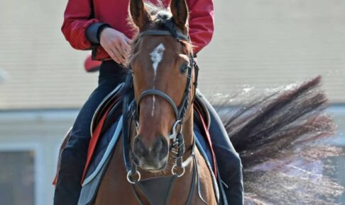 【桜花賞】リバティアイランド　主役の座譲らん不安なし　“世界の川田”で格の違い見せる
