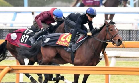 【桜花賞】リバティアイランド　未勝利の2枠も淡々　陣営「与えられたところでやるだけ」