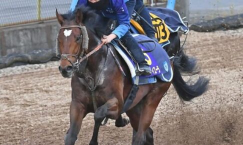 【皐月賞】タスティエーラ　3頭併せ先着　松山納得「気になるところはなかった」