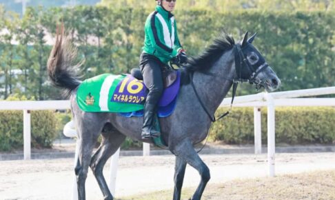 【皐月賞】マイネルラウレア　無傷戴冠へ激走あるぞ　ぶっつけ本番も好気配　1週前に栗東坂路で自己ベスト4F51秒7