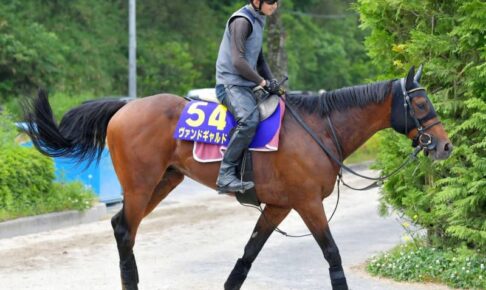 ヴァンドギャルドが左前肢屈腱炎で現役引退　海外で種牡馬入りへ