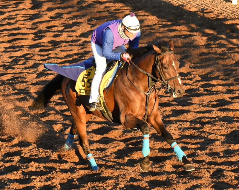 オニャンコポン　右前肢を骨折　当初はマイラーズC出走予定→全治不明　今後は白紙に