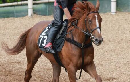 【フローラS】キミノナハマリア　格の違い見せる　千田師「常歩から違ってきていた」