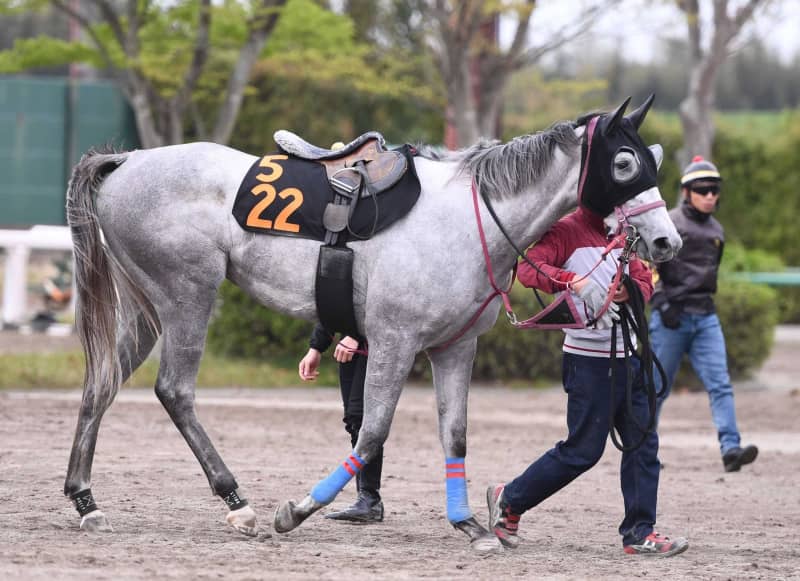 【フローラS】ゴールデンハインド 地力が違う いざ樫へ府中の絶好馬場は追い風 【フローラS】ゴールデンハインド 地力が違う いざ樫へ府中の絶好馬場は追い風