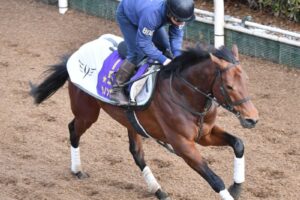 ダノンザキッド　香港遠征へ順調仕上がり　香港C2着の雪辱へ
