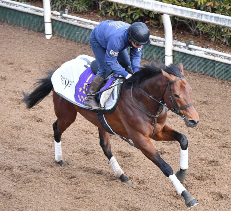 ダノンザキッド 香港遠征へ順調仕上がり 香港C2着の雪辱へ ダノンザキッド 香港遠征へ順調仕上がり 香港C2着の雪辱へ