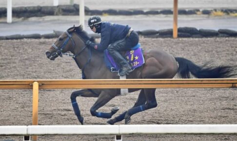 【マイラーズC】シュネルマイスター　栗東滞在効果アリ　CWしまい重視で機敏反応見せた