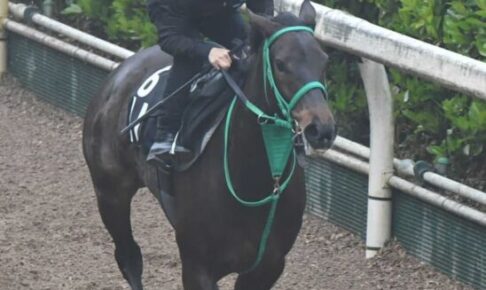 【フローラS】良血ソーダズリング　気配抜群　母は桜花賞3着のソーマジック