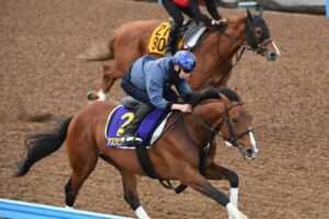 【天皇賞】アスクビクターモア加速　新コンビ横山武も絶賛