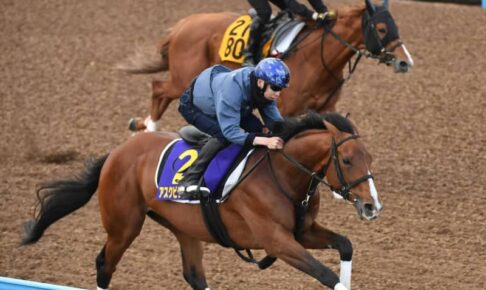 【天皇賞】アスクビクターモア加速　新コンビ横山武も絶賛