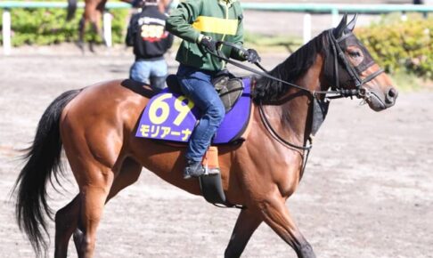 【NHKマイルC】モリアーナ　6年ぶり牝馬戴冠へ勝負手　名手・横山典に鞍上スイッチ