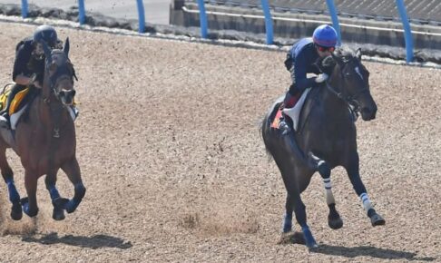 【ヴィクトリアM】スターズオンアース　上昇傾向　高柳瑞師「上がってきている」