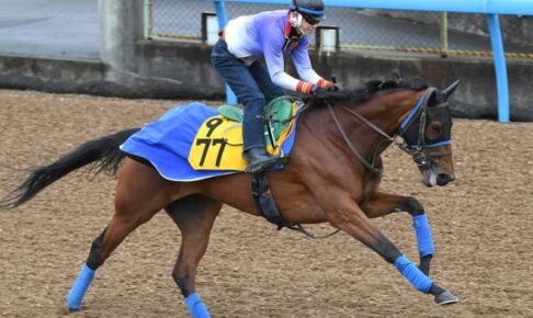 凱旋門賞の登録馬発表　日本からはスルーセブンシーズ、サリエラ、ドゥラエレーデの3頭