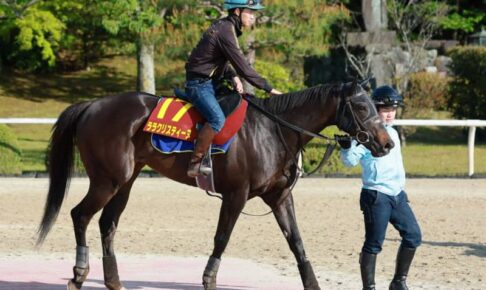 【ヴィクトリアM】菅原明　G1初戴冠だ！ララクリスティーヌとつかむ「いかにうまく乗るか」