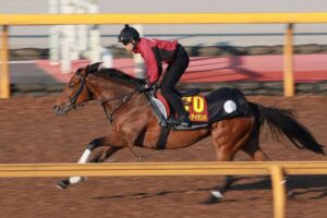 【オークス】リバティアイランド　2冠へ手応え　陣営「予定通り順調です」