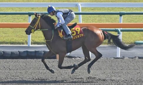 【オークス】シンリョクカ樫でこそ　仕上がり順調、輸送負担減！東京芝2400でしまいが生きる　G1.2着の底力