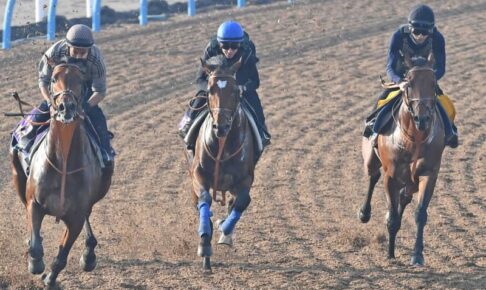 【日本ダービー】タスティエーラ　鋭伸2馬身先着　鞍上レーン「順調そのもの」