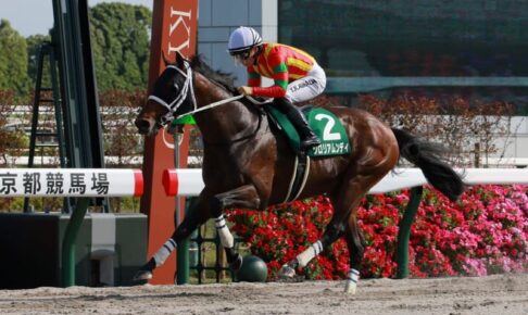 【平安S】1番人気グロリアムンディが重賞連勝　川田「ポテンシャルの高さを示す内容」