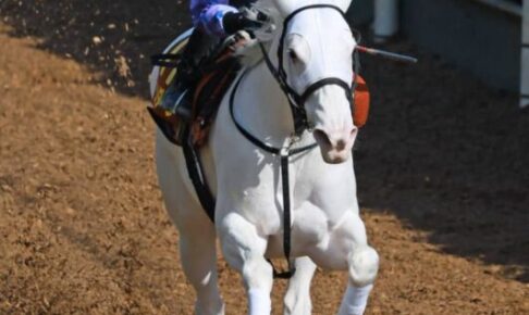 ソダシが新コンビ川田と安田記念へ