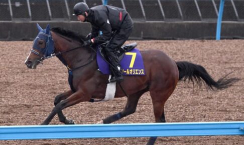 【日本ダービー】ソールオリエンス2冠へ　手塚師「順調」　24日武史で最終追い切り