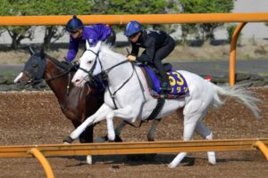 【安田記念】ソダシ×川田が初合体　追い切りも好感触「全く質の違う馬だなという印象」