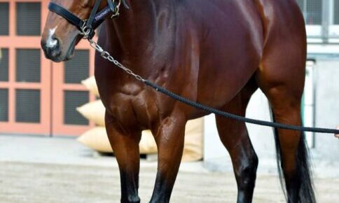 ジュンライトボルトのオーナー河合純二容疑者が出資法違反の疑いで逮捕