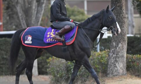 【宝塚記念】イクイノックス抜けた1位　ファン投票第1回中間発表