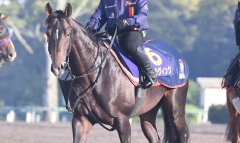 【日本ダービー】スキルヴィング　最終調整を終える　「使って良くなった」