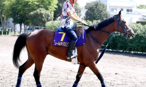 【日本ダービー】ソールオリエンス　名畑俊助手と一問一答「これで負けたら相手褒めるしかない」