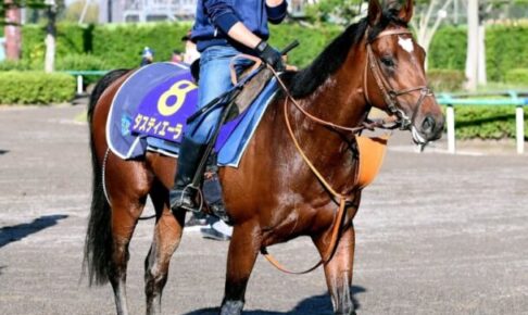 【日本ダービー】タスティエーラ　素軽い動きに好感　「いいコンディション」