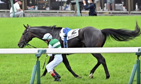 【日本ダービー】スキルヴィング急性心不全でゴール入線後死す