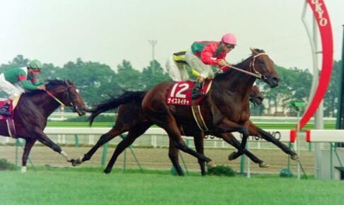 ナイスネイチャ逝く　35歳大往生　有馬3年連続3着の個性派