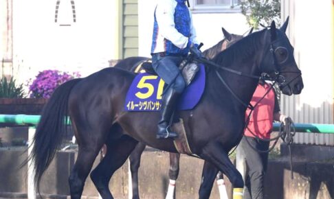 【安田記念】イルーシヴパンサー逆襲　G1初制覇へ出来文句なし！1年前の無念晴らす