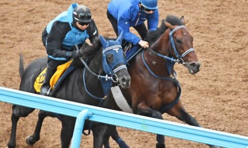 【安田記念】シュネルマイスター　迫力満点　圧巻の末脚披露で三度目の正直Vなるか
