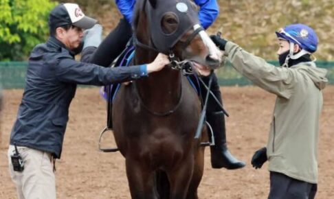 【安田記念】ソウルラッシュ　雨残りも歓迎！芝の稍重・重で3戦3勝