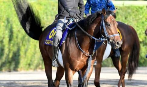 【安田記念】シュネルマイスター心身充実　ドバイ帰り昨年2着より順調