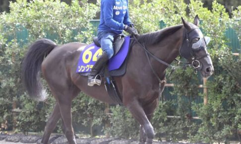 【安田記念】ソングライン　前走より上昇　最後まで手を緩めず調整