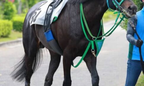 【エプソムC】エアファンディタ　千八で成績安定　池添師も府中の舞台に期待「一番いい」