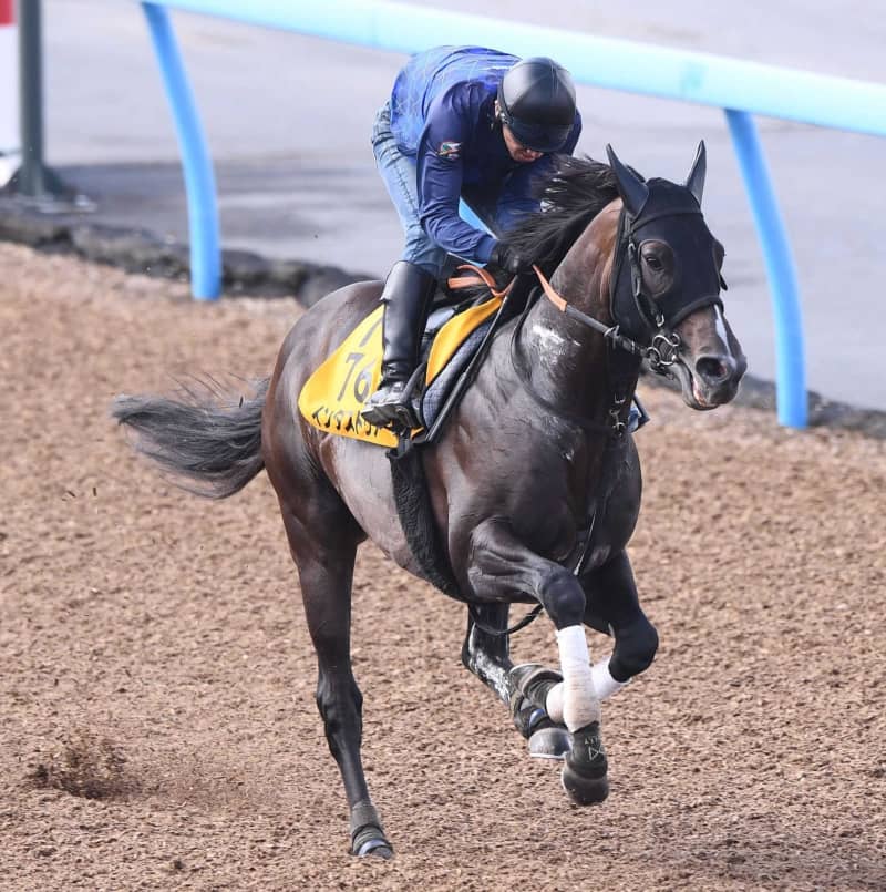 【エプソムC】インダストリア ギアアップで迫力十分 宮田師「上手にキープできている」 【エプソムC】インダストリア ギアアップで迫力十分 宮田師「上手にキープできている」