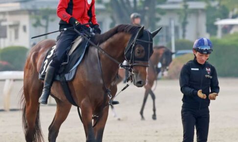 【ユニコーンS】グレートサンドシー　タイトル奪取を狙う　3歳ダート戦線で大物ぶり発揮へ