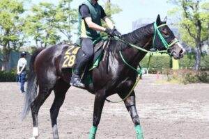 【ユニコーンS】ブライアンセンス　抜群のセンス　横山武と一気に重賞獲りだ
