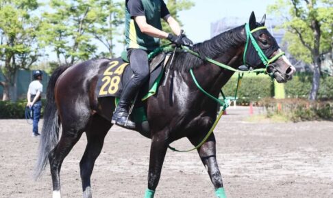 【ユニコーンS】ブライアンセンス　抜群のセンス　横山武と一気に重賞獲りだ