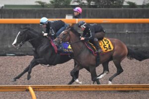 【宝塚記念】イクイノックス“世界1位”の走り見せる　木村師「環境に慣れた雰囲気ある」