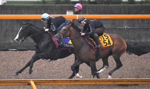 【宝塚記念】イクイノックス“世界1位”の走り見せる　木村師「環境に慣れた雰囲気ある」