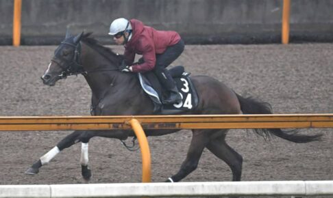 【ユニコーンS】重賞初挑戦グレートサンドシー　中内田師も合格点「伸びも良かった」