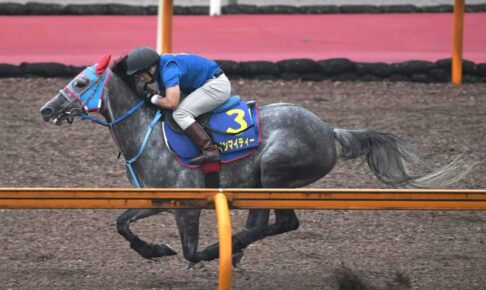 【マーメイドS】ウインマイティー　驚異のラスト1F10秒9　“王道仕上げ”で連覇へ一直線