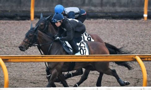 【マーメイドS】ビッグリボン　時計も動きも好調　中内田師「力を出せるようになった」