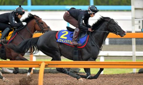 【宝塚記念】イクイノックス　3頭併せで驚異の瞬発力！　余裕の最先着　世界No.1の走りで上半期締めくくる