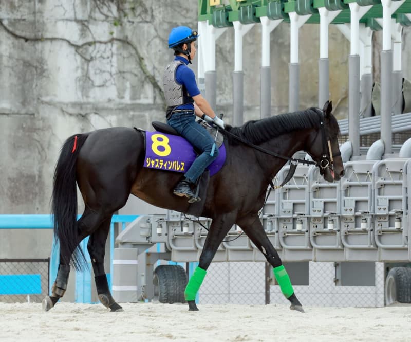 【宝塚記念】ジャスティンパレス 発馬も不安なし「1角まで距離があるから心配していません」 【宝塚記念】ジャスティンパレス 発馬も不安なし「1角まで距離があるから心配していません」